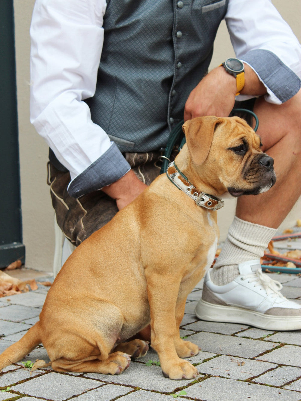 Brauner Hund mit Halsband sitzt vor einer Person in grauer Weste und weißer Bluse auf gepflastertem Boden.