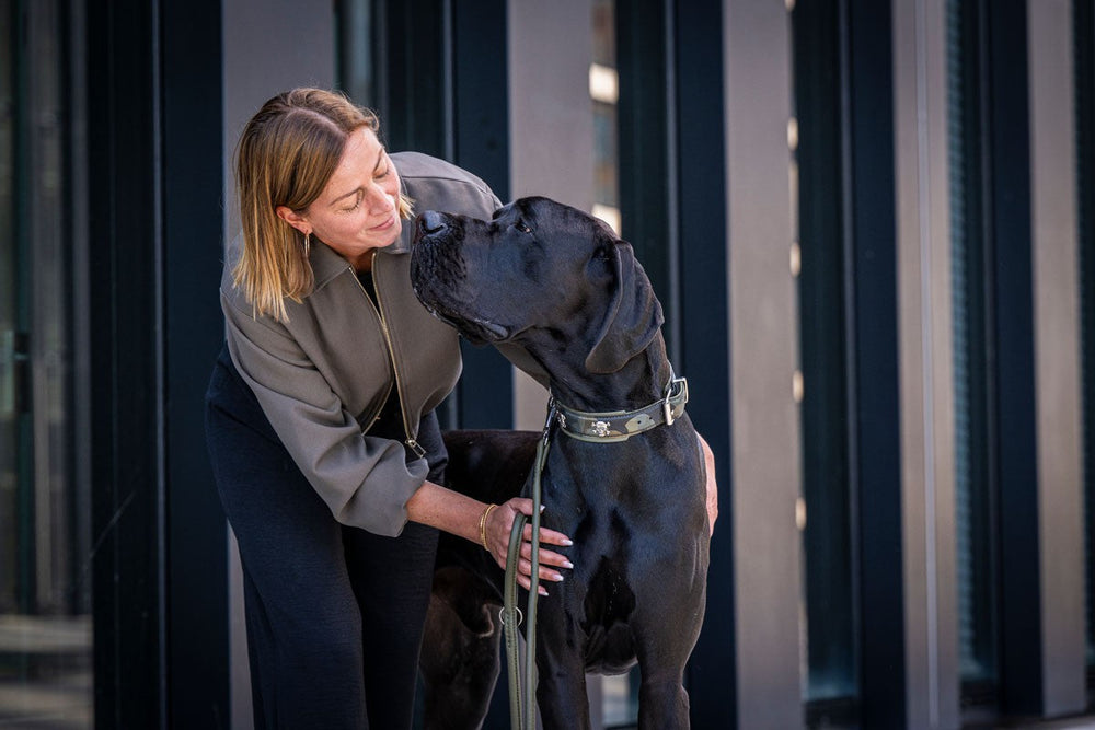 Frau mit grauer Bluse beugt sich zu aufmerksamem schwarzen Doggenmix-Hund hinunter, im Hintergrund eine natürliche Umgebung.
