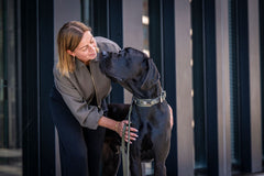 Frau mit grauer Bluse beugt sich zu aufmerksamem schwarzen Doggenmix-Hund hinunter, im Hintergrund eine natürliche Umgebung.