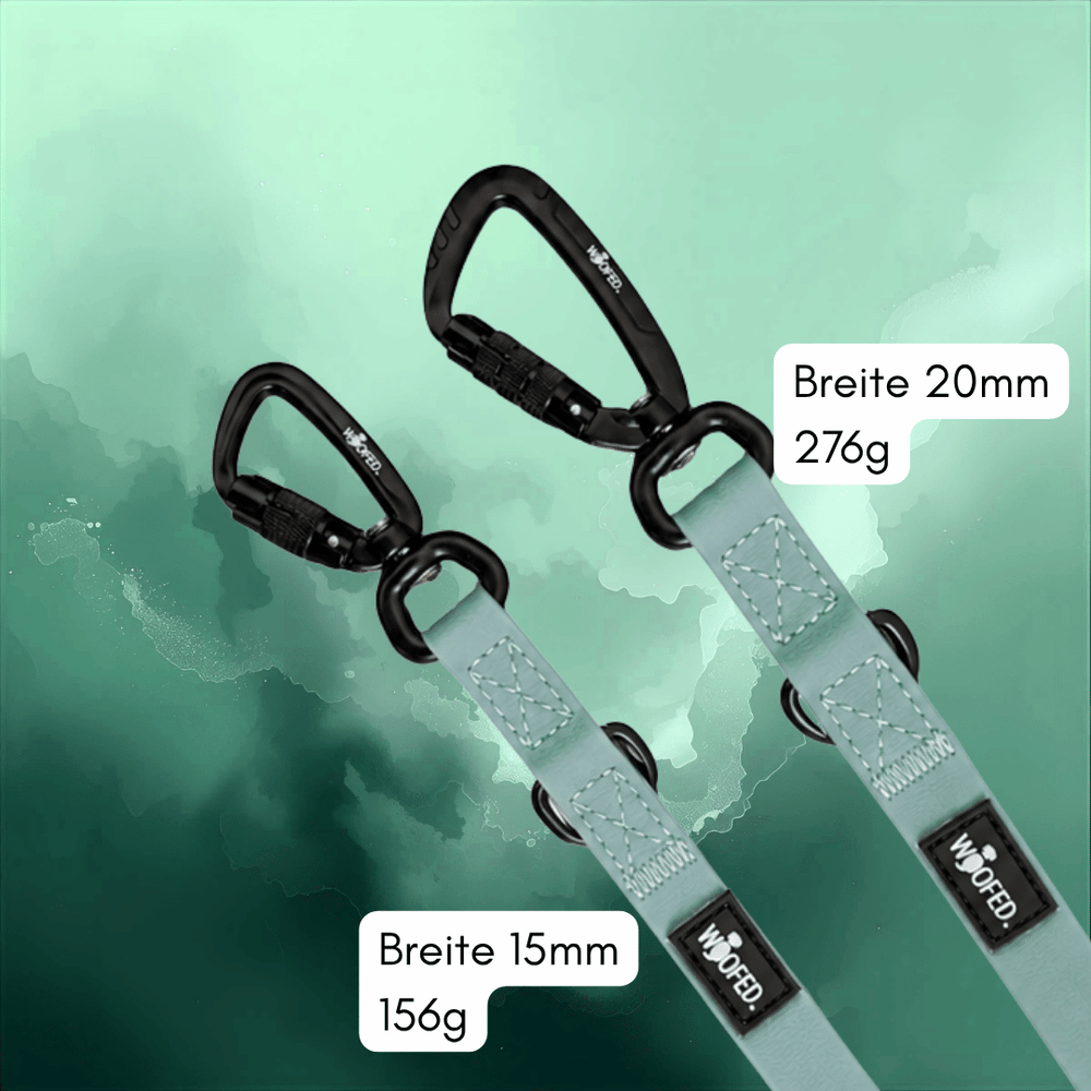 Zwei WOOFLEX® Pro Hundeleinen in 15 mm und 20 mm Breite, hell sowie mit schwarzen Karabinerhaken, elegant und robust.