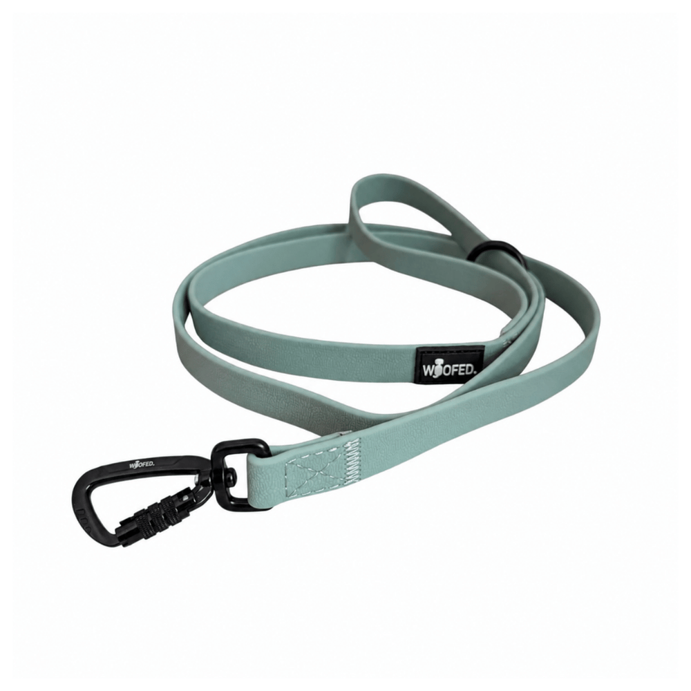 Mintgrüne WOOFLEX® Pro Hundeleine mit flexibler Handschlaufe und schwarzem Karabinerhaken für sicheren Halt.