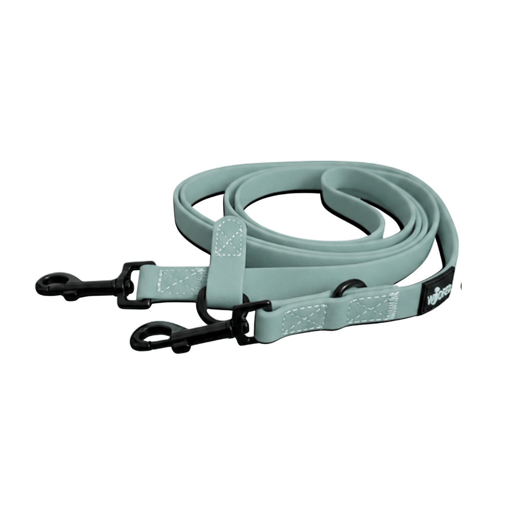 Mintgrüne Umhängeleine WOOFLEX® Classic für Hunde mit zwei Karabinerhaken und strapazierfähigem Material.