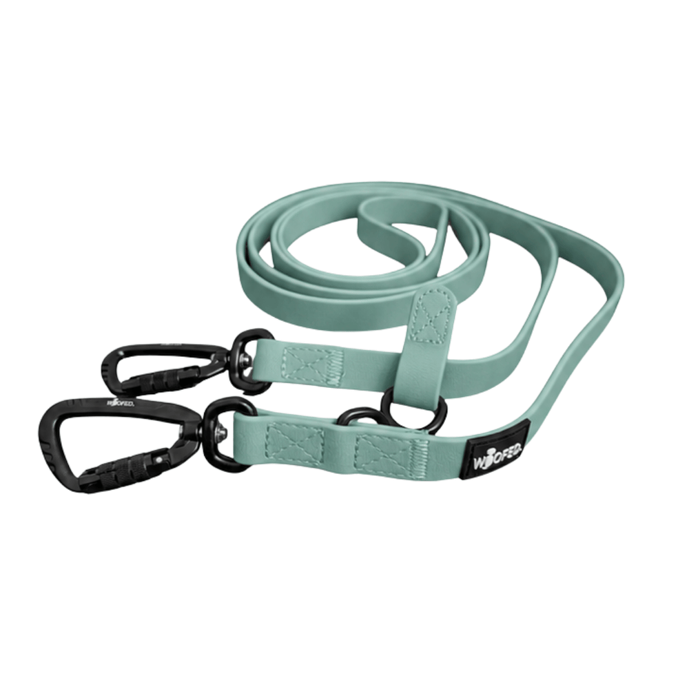 Umhängeleine WOOFLEX® Pro in Mintgrün mit flexiblem Material und verstellbarer Schlaufe für optimalen Komfort.