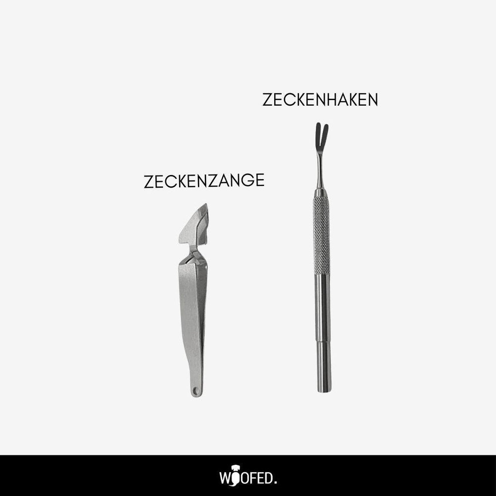 Zeckenzangen-Set aus Edelstahl für sichere und hygienische Zeckenentfernung bei Tieren und Menschen, bestehend aus Zange und 