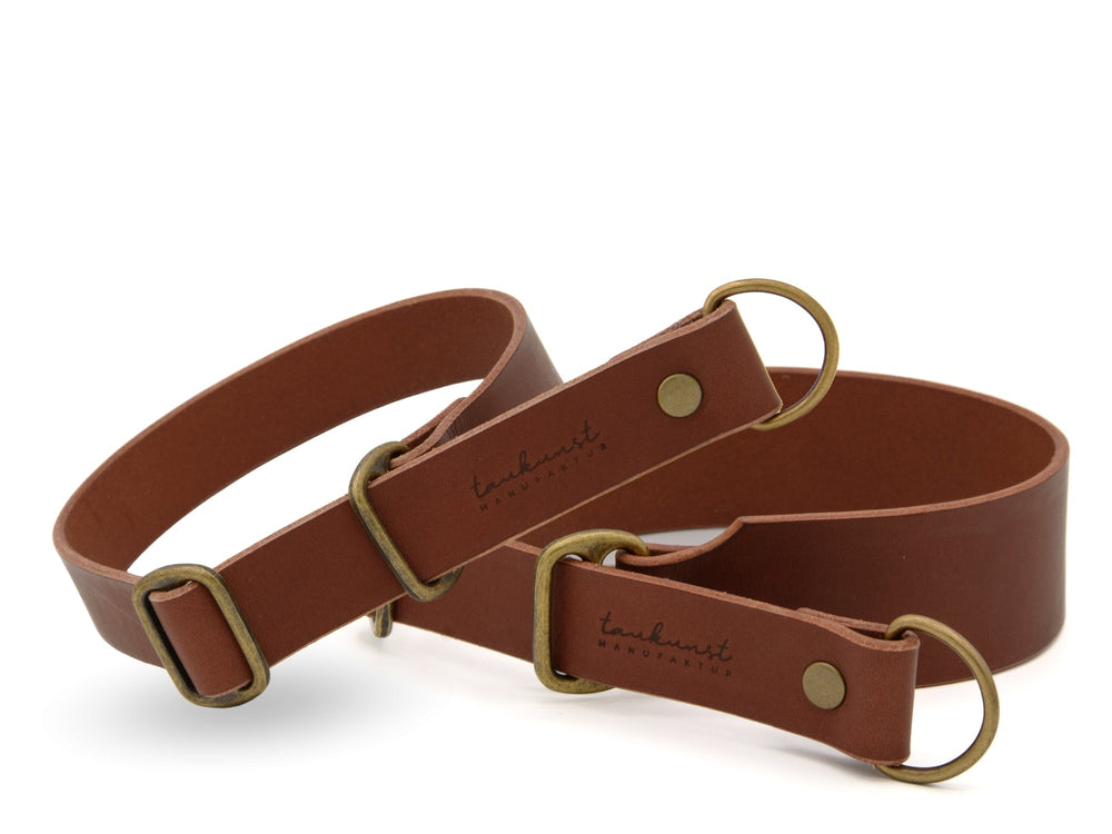 Hochwertiges braunes Zugstopp Lederhalsband WALDSTREUNER mit Messingringen für Hunde. Ideal für Alltag und Training.