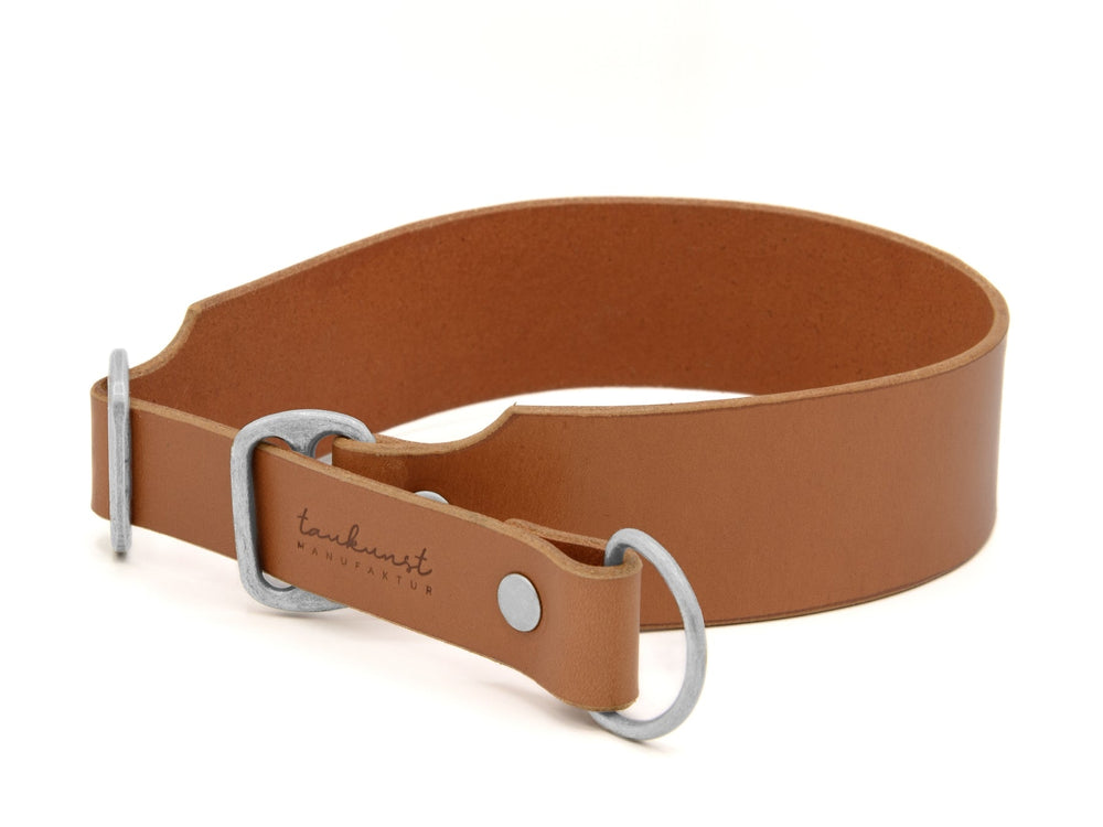Schlichtes braunes Lederhalsband mit silbernen Ringen und stabiler Schnalle für Hunde, ideal für den täglichen Gebrauch.