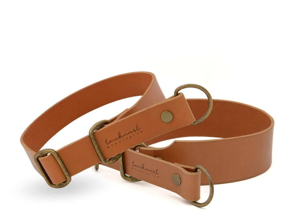 Braune Lederhalsbänder für Hunde im Set mit messingleuchtenden Schnallen, schlichtem Design und hoher Qualität.