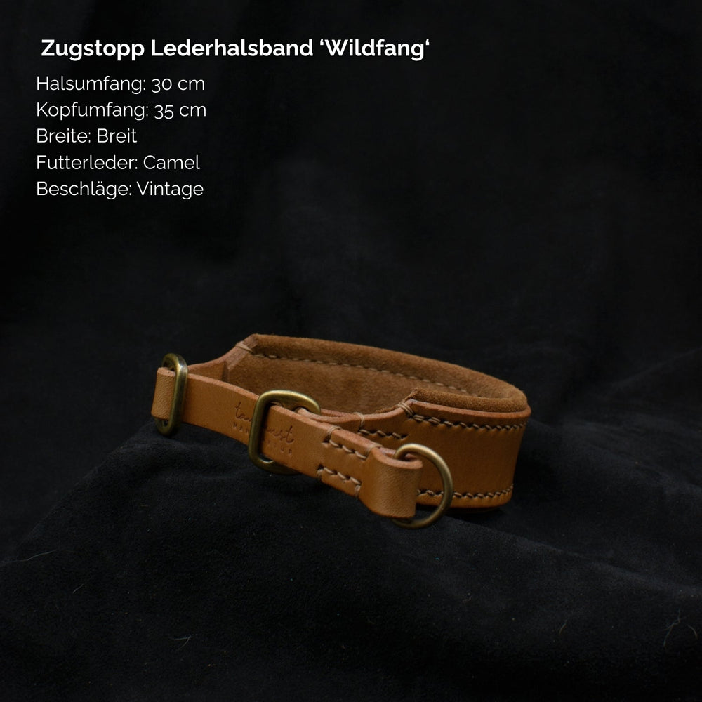 „Zugstopp Lederhalsband Wildfang in breiter Ausführung, ideal für Hunde mit Halsumfang von 30 cm und Kopfumfang von 35 cm.“