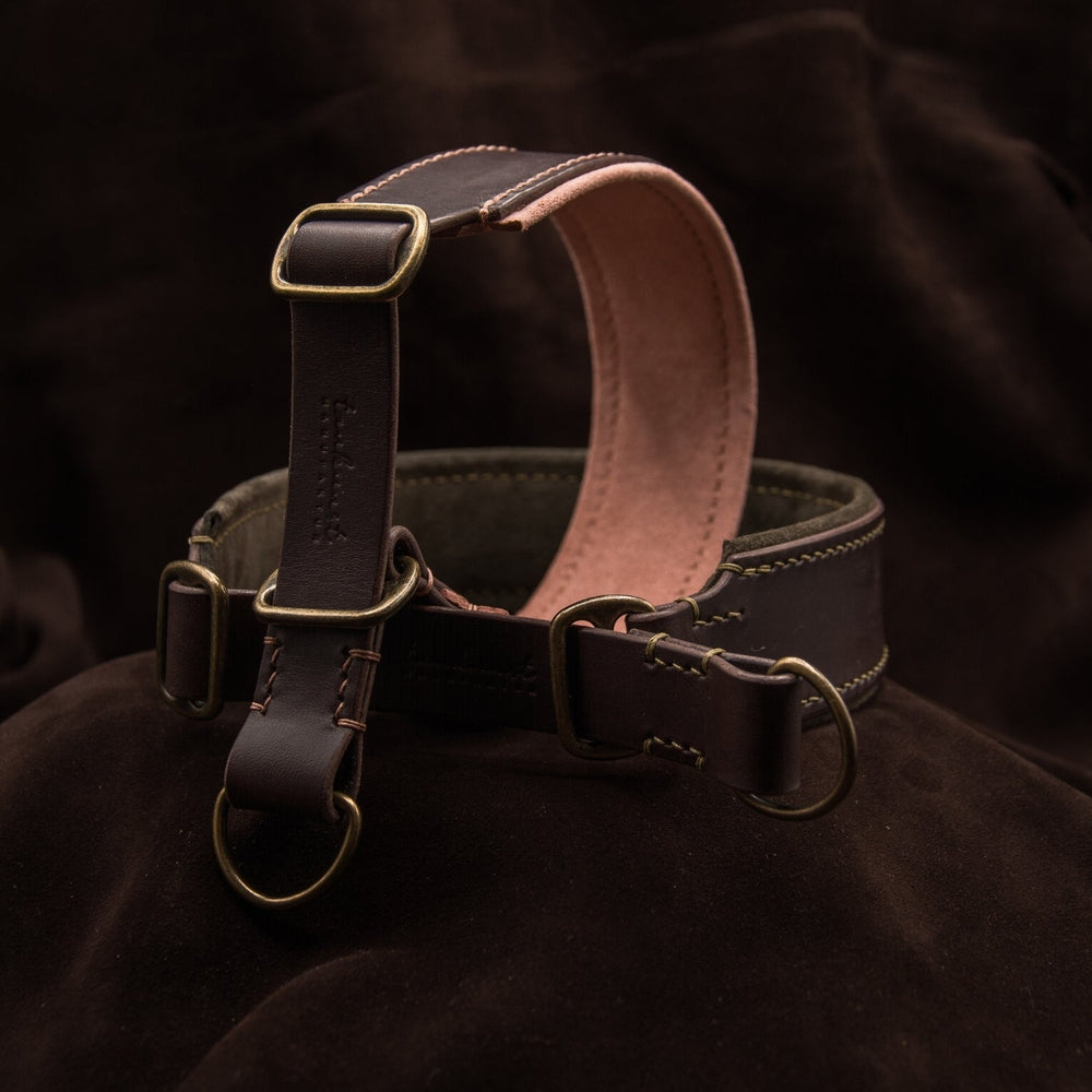 Braunes Lederhalsband mit goldfarbenen Beschlägen und gepolsterter Innenseite, ideal für stilvolle Hundefreunde.