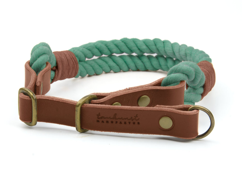 Mintgrünes Hundehalsband mit braunen Lederakzenten und goldfarbenen Schnallen, beschriftet mit „tandurst man“.