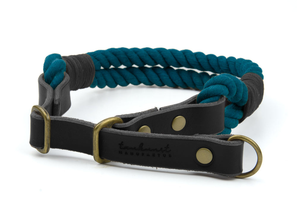 "Turquoisefarbenes Hundehalsband mit grauem Leder und goldfarbenen Verschlüssen, ideal für stilvolle Hunde."