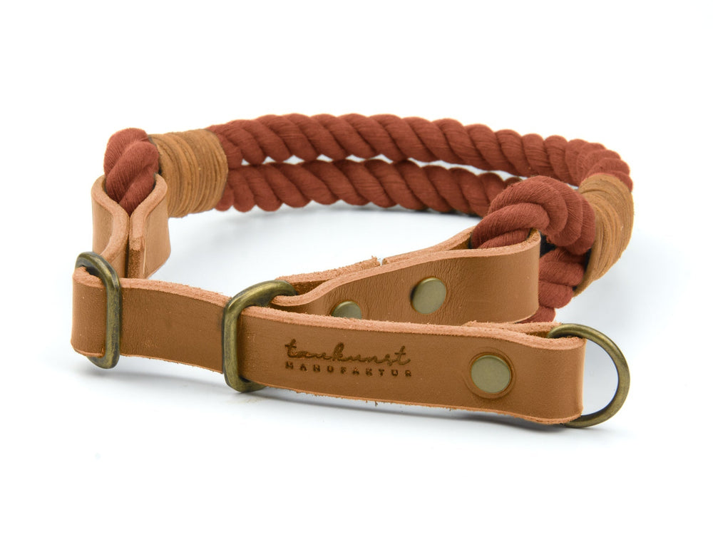 Hochwertiges geflochtenes Hundehalsband in Rostfarbe mit beigen Lederenden. Ideal für stylische Spaziergänge.