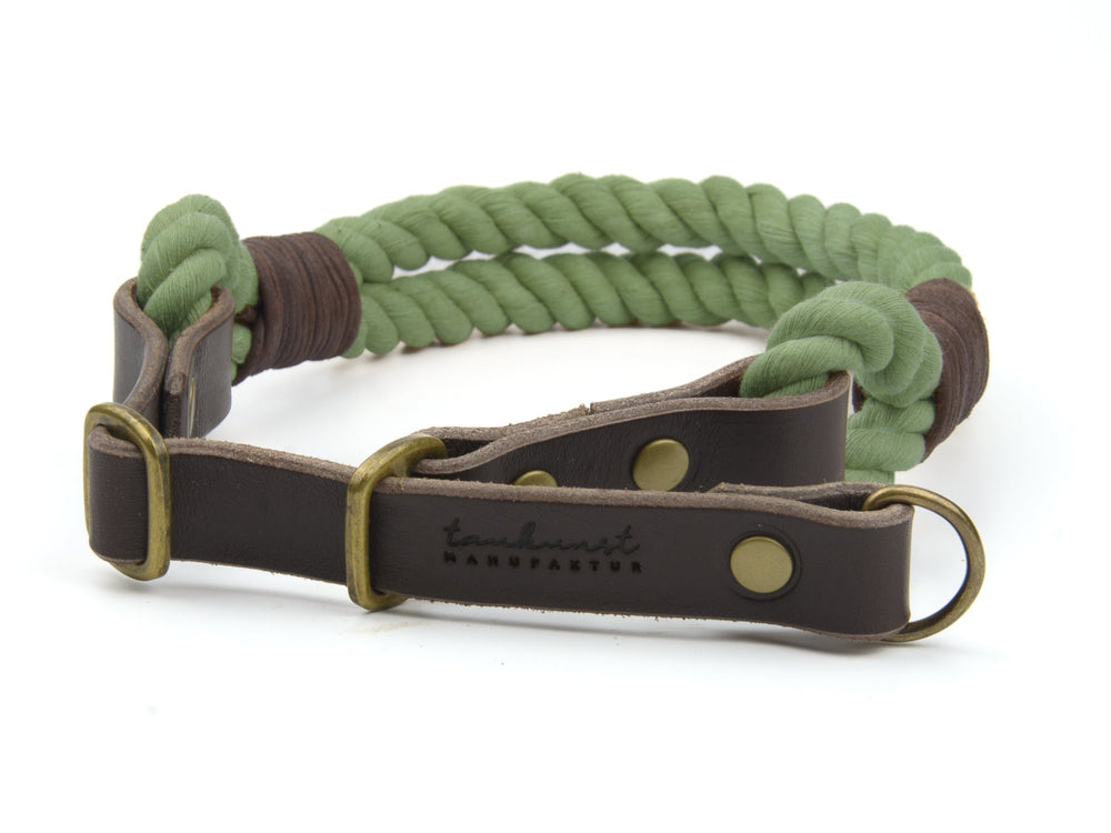 "Hundehalsband Ahoi aus grünem geflochtenem Material mit braunen Lederelementen und Messing-Schnalle."