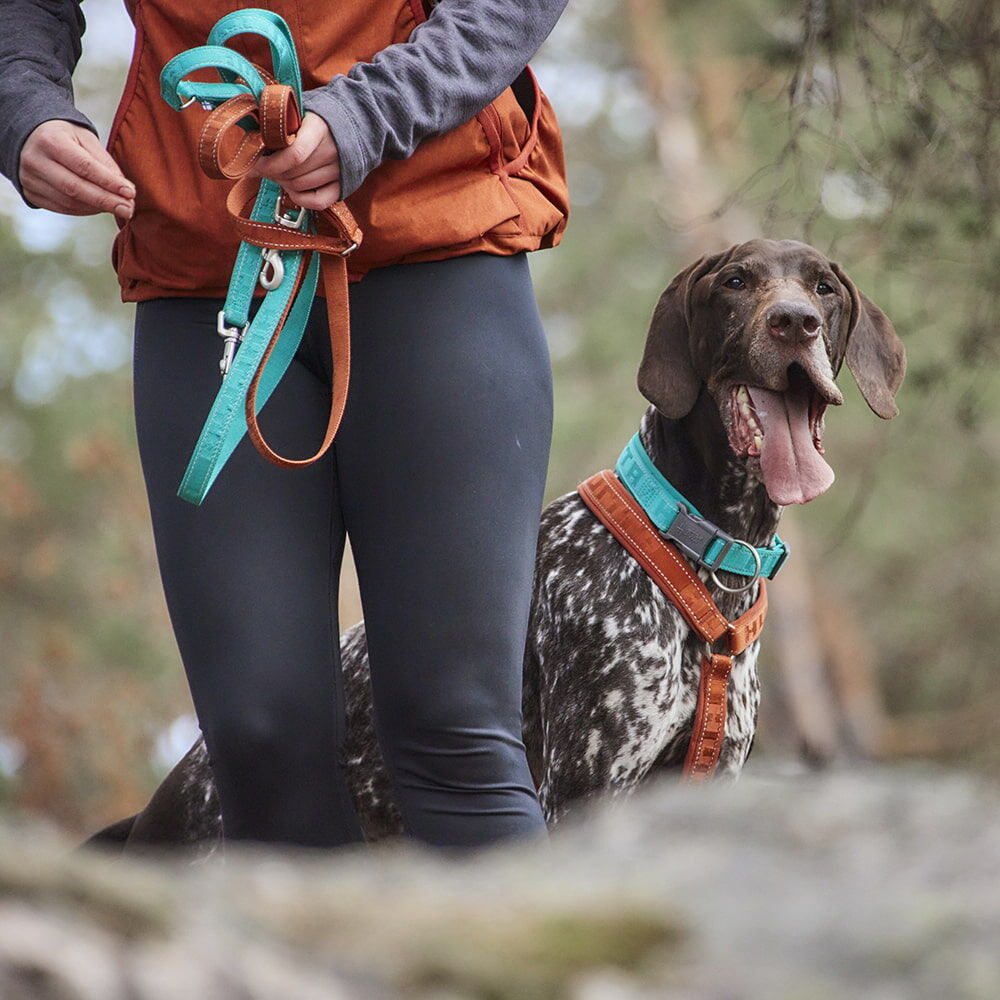 Hundeleine Casual reflective leash ECO – zusätzliche Produktansicht 2