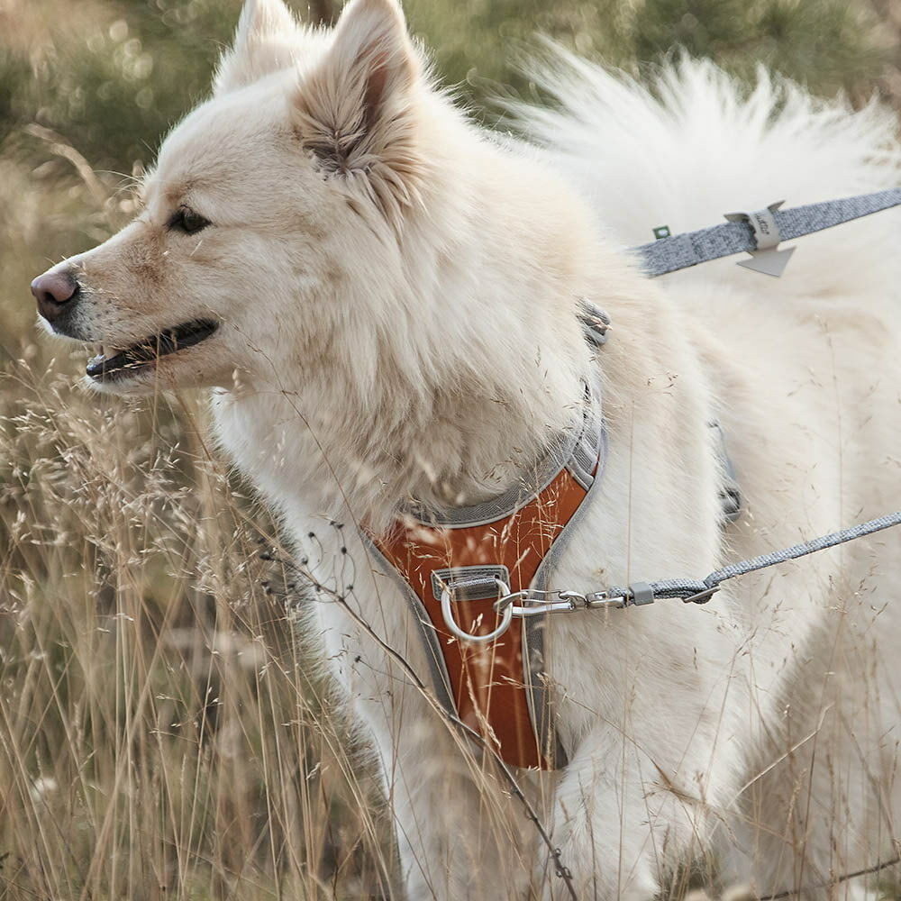 Hundegeschirr Venture No-Pull Harness – zusätzliche Produktansicht 1