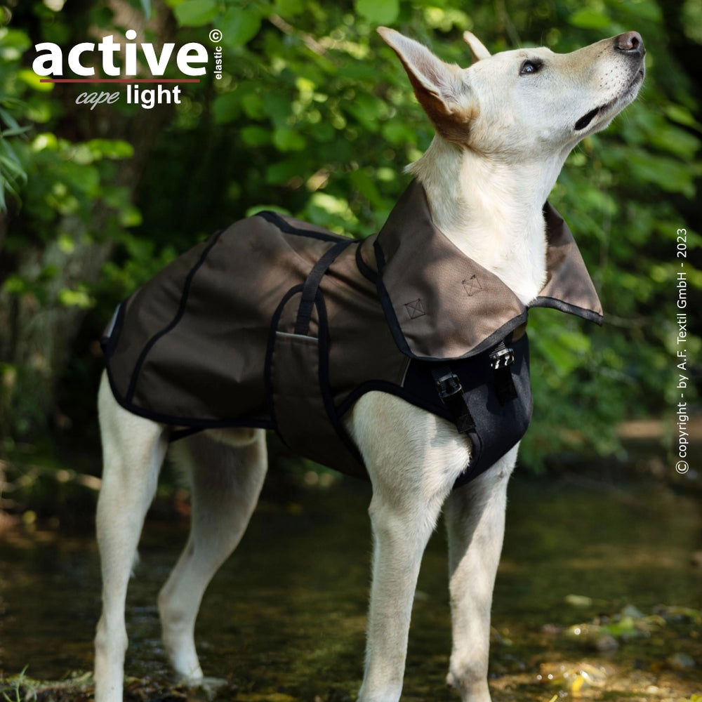 Hund in braunem Hundemantel mit schwarzem Material, stehend auf Feldweg, schaut neugierig in die Natur.