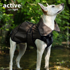 Hund in braunem Hundemantel mit schwarzem Material, stehend auf Feldweg, schaut neugierig in die Natur.