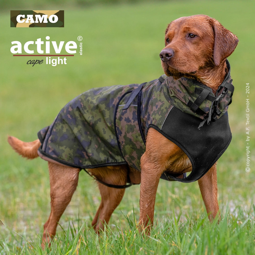 Hund im camouflage-farbigen Mantel auf grüner Wiese, aufmerksam und perfekt geschützt.