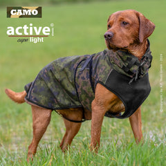 Hund im camouflage-farbigen Mantel auf grüner Wiese, aufmerksam und perfekt geschützt.