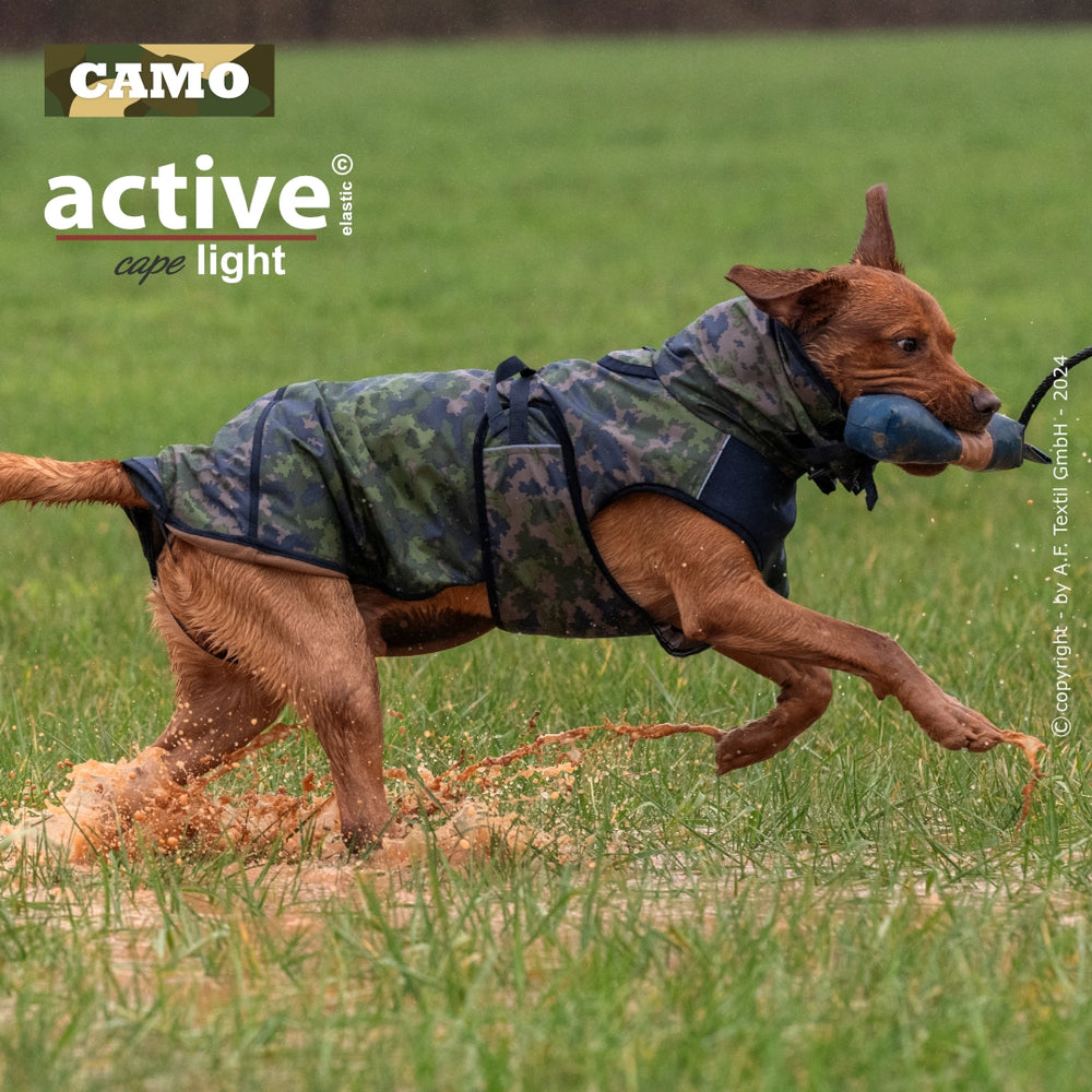 Hund in camouflagemusterter Jacke rennt über feuchtes, grünes Feld und hält blaues Spielzeug im Maul.