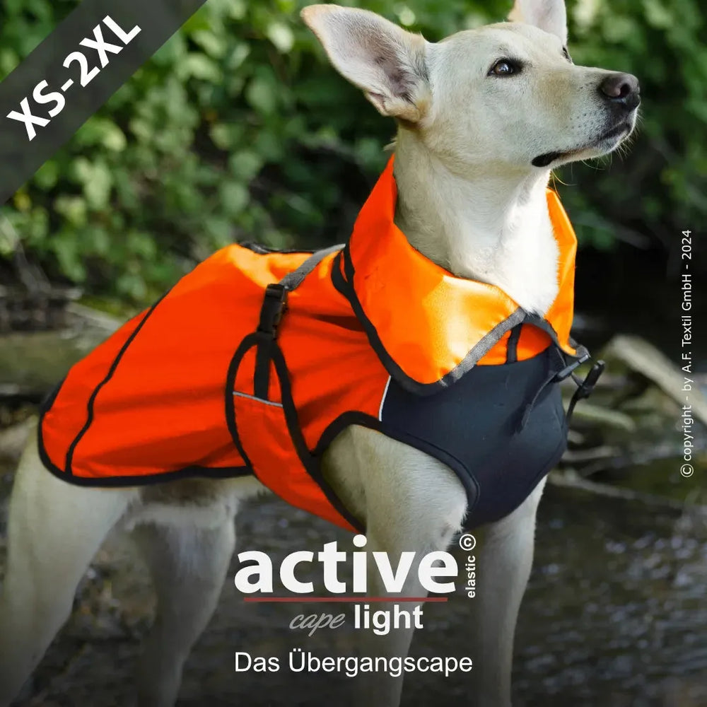 Hund in leuchtend orangefarbener Übergangsjacke am Gewässer, idealer Schutz für wechselhaftes Wetter.