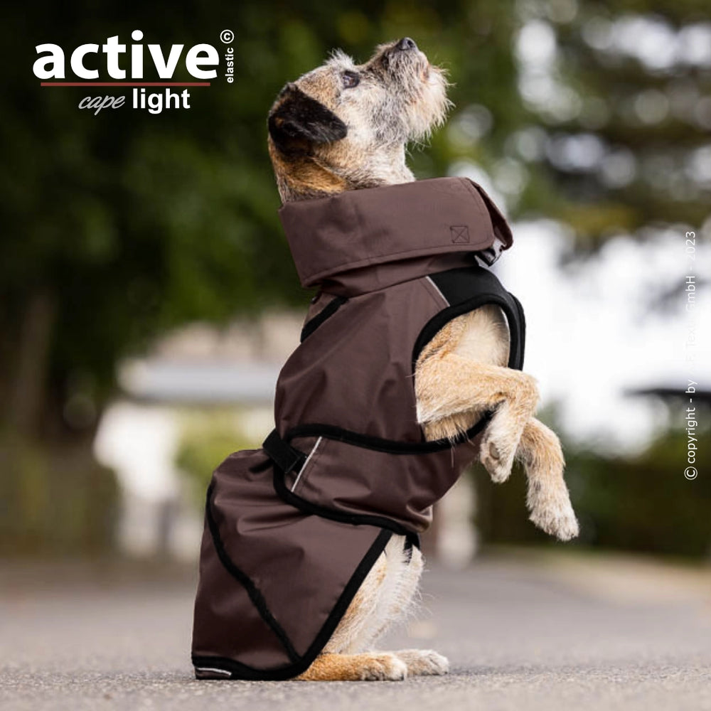 Brauner wasserdichter Hundemantel auf sitzendem Hund, hohe Kragen und verstellbare Riemen, unscharfe Bäume im Hintergrund.