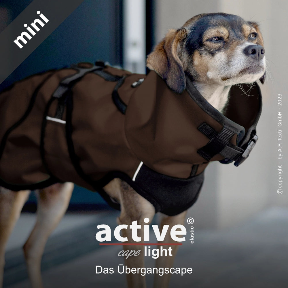 Kleiner Hund in braunem Übergangsmantel von active©, passend und wärmend vor einer Haustür.