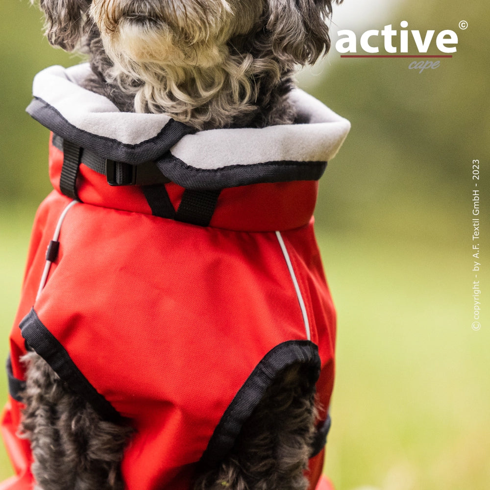 Hund in roter Jacke mit grauem Futter auf grüner Wiese im Freien.