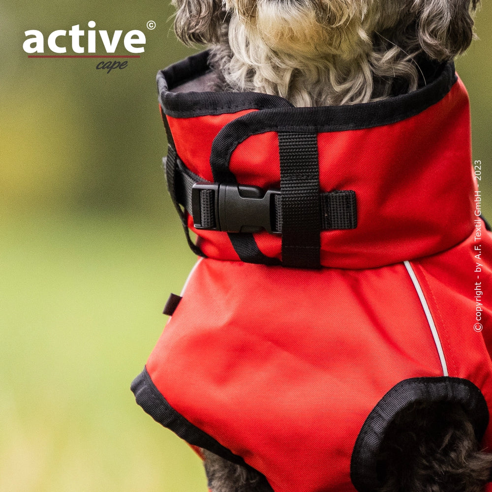 Hund in rotem Hundemantel mit schwarzen Details, ausgestattet mit Schultergurt und Schnallenverschluss, vor unscharfem grünen Hintergrund.