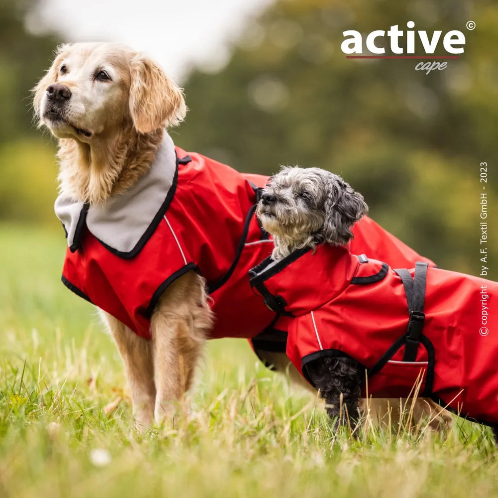 Zwei Hunde in rot-grauen Regenjacken stehen auf einer Wiese, ein Golden Retriever und ein Mischling.
