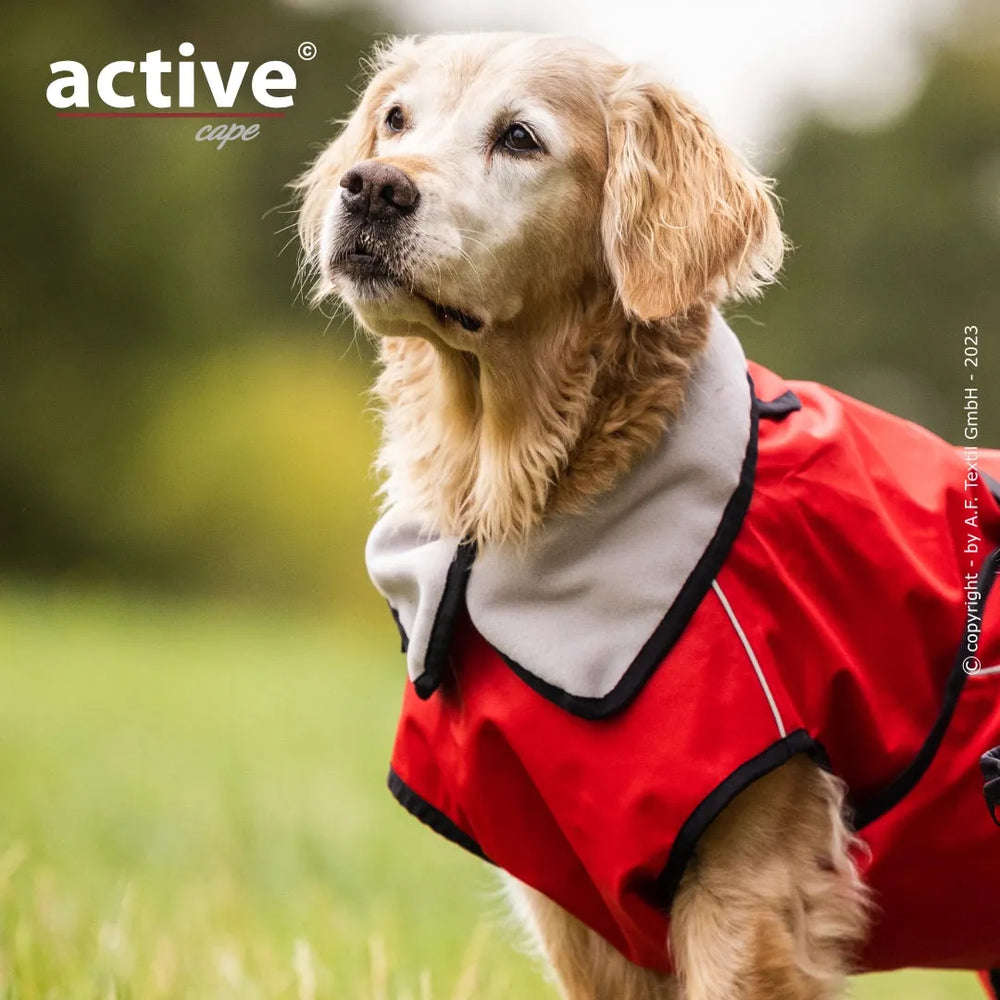 Hund im roten Mantel mit grauem Kragen auf Wiese, schaut nach oben. Logo "active" in der oberen linken Ecke.