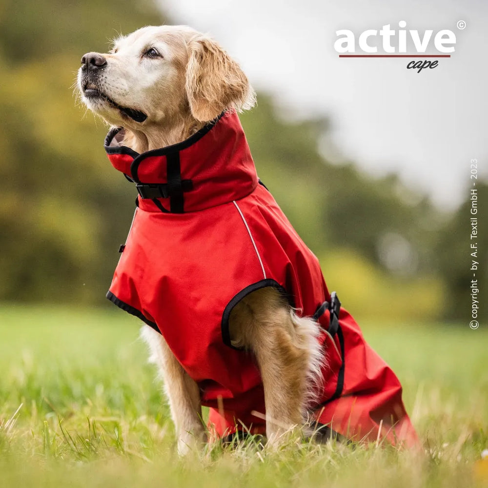 Hund im roten Regenmantel auf Wiese, schaut nach oben. Active© cape Logo sichtbar.