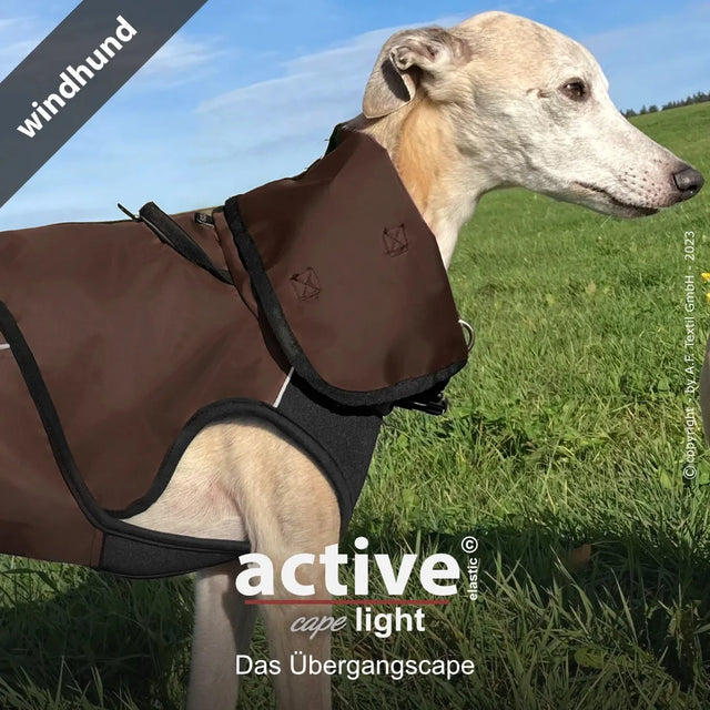 Active© cape elastic windhund