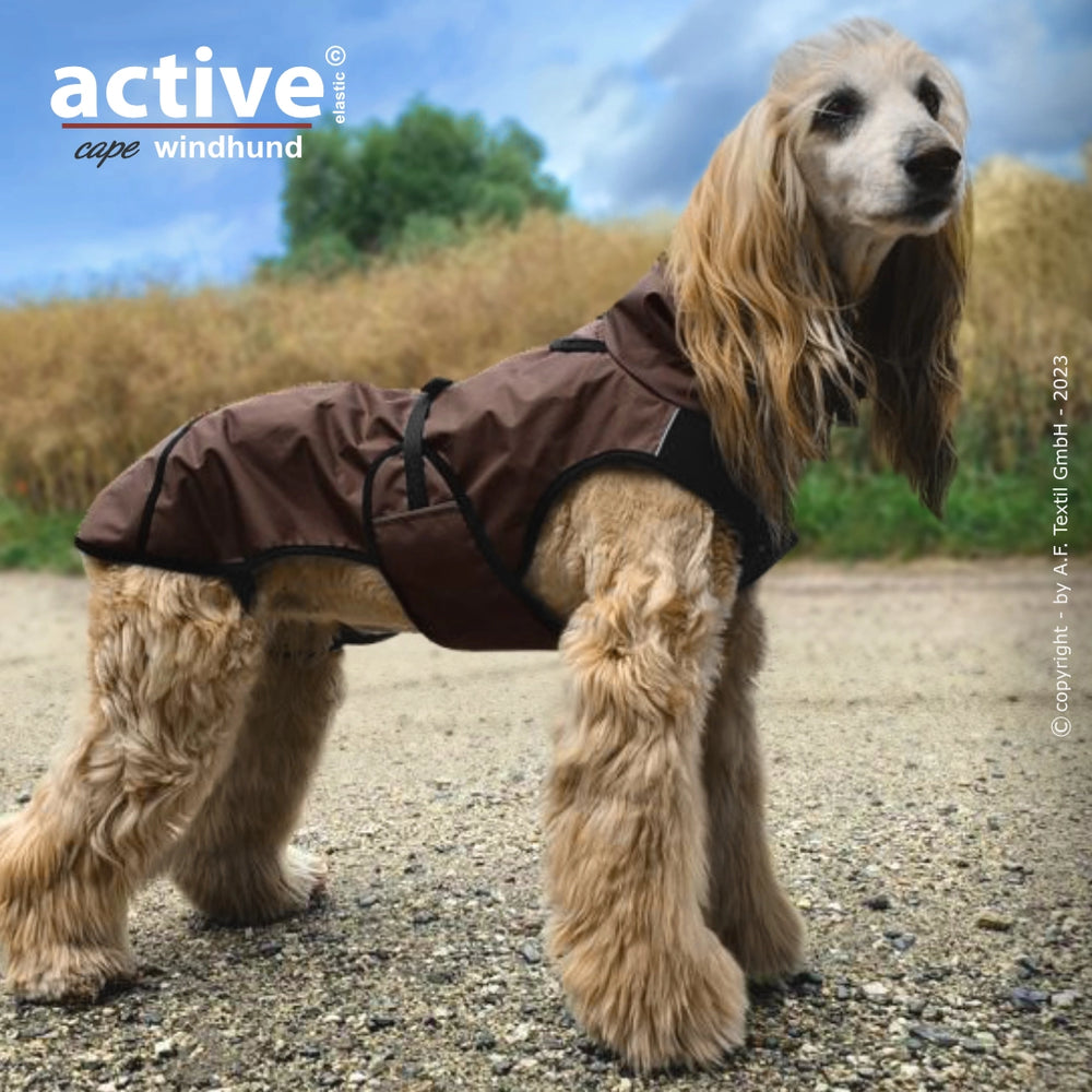 Windhund in braunem, wetterfestem Mantel steht auf Kiesweg, umgeben von grüner Landschaft. Pflegeleichtes Fell.