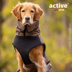Hund im braunen Hundemantel mit hohem Kragen, ideal für kaltes Wetter, vor unscharfem grünen Hintergrund.