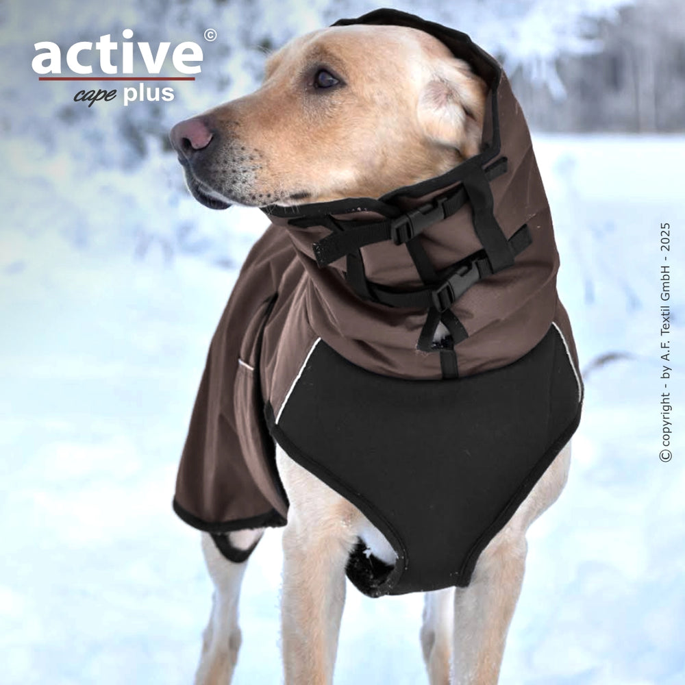 Hund mit braunem Hundemantel und Kapuze in schneebedeckter Winterlandschaft. Mantel schwarz an den Seiten mit Schnallen.