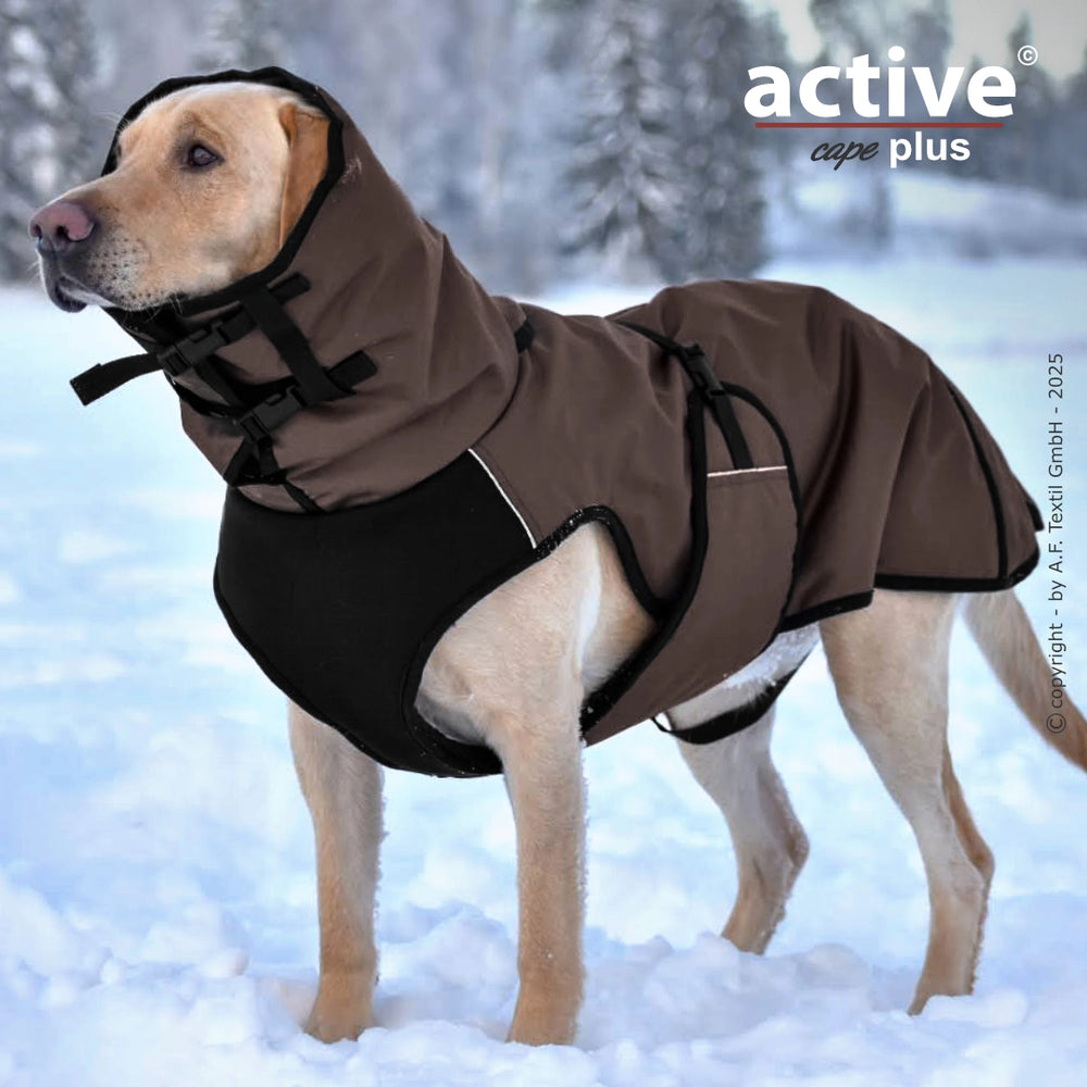 Labrador in braunem warmen Hundemantel mit Kapuze, steht im Schnee und genießt die winterliche Landschaft.