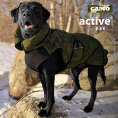 Schwarzer Hund im camouflagemusternden Mantel aus Schnee auf einem Stein im Wald.