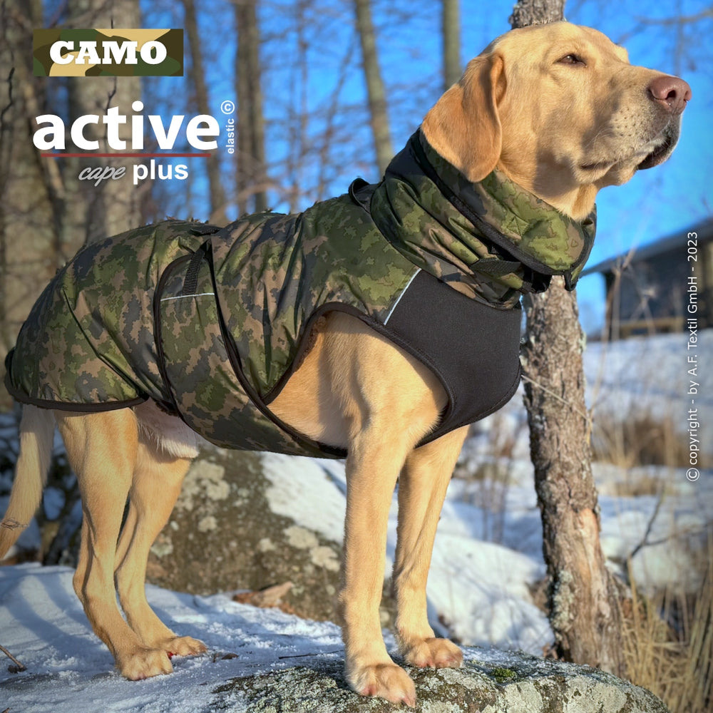 Hund im camouflagefarbenden Wettermantel mit Halskrause, ideal für winterliche Abenteuer im Freien.