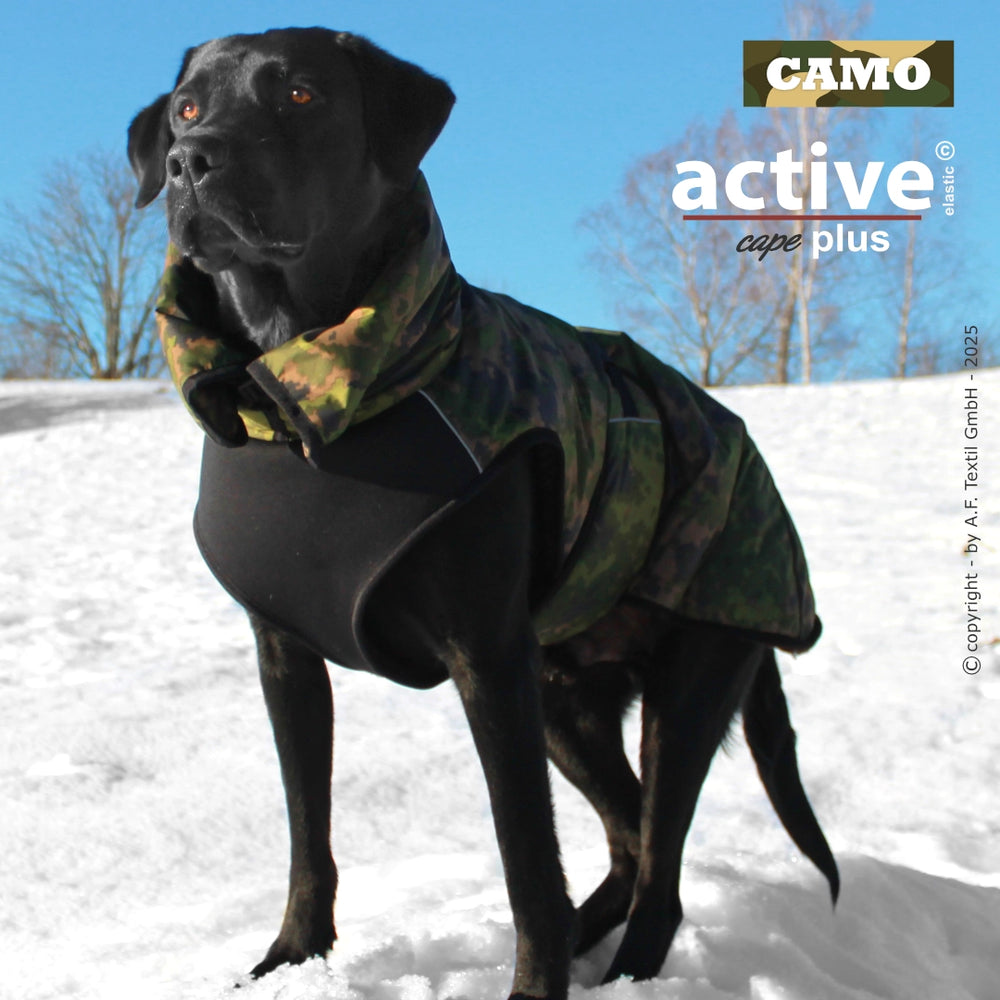 Schwarzer Labrador trägt camouflagierten Hundemantel mit unifarbenen Stoffdetails.