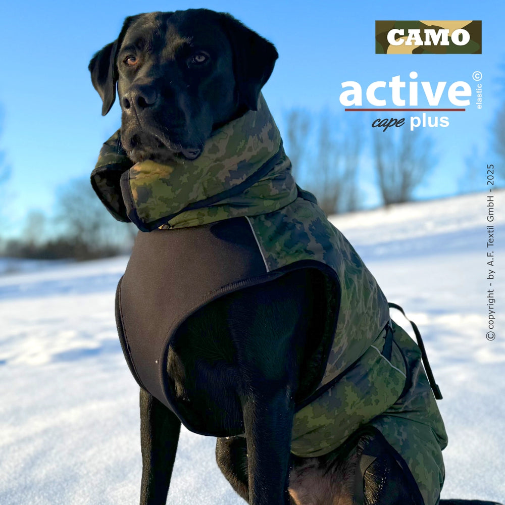 Schwarzer Hund im Camouflage-Wintermantel mit warmem Kragen, sitzt im Schnee.