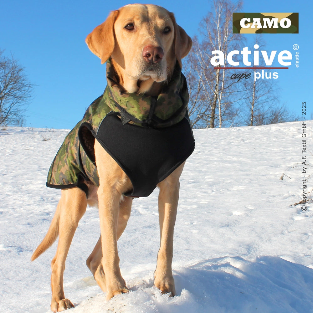 Labrador im Schnee mit camouflagierter Weste und Kapuze, umgeben von Bäumen und klarem Himmel.