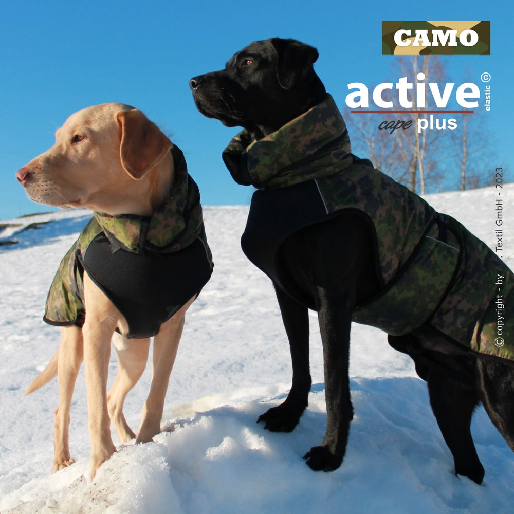 Zwei Hunde mit camouflaged Jacken stehen im Schnee unter blauem Himmel, das "active cape plus" präsentiert.