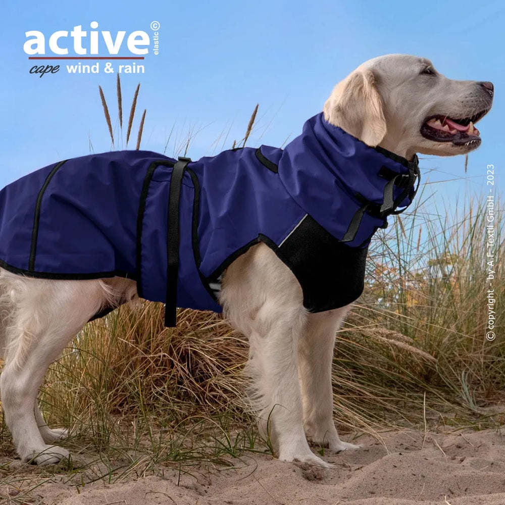 Golden Retriever im blauen Regenmantel mit hohem Kragen, stehend in einer strandähnlichen Umgebung mit Gras.