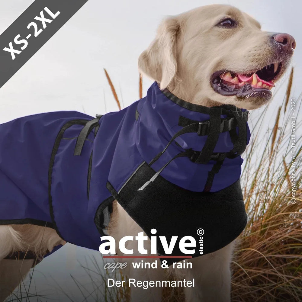Hund im lila Regenmantel von Active© cape, wind- und regendicht, perfekt für Outdoor-Abenteuer bei schlechtem Wetter.