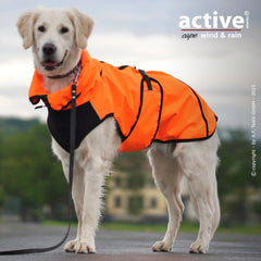 Golden Retriever in orange-schwarzem, wind- und regenabweisendem Mantel mit Reißverschluss und Verstellmöglichkeiten.