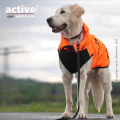Hund mit orangefarbenem Regenmantel auf Straße, bewölkter Himmel und Landschaft im Hintergrund.