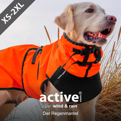 Hund im orangefarbenen Regenmantel, geschützt vor Wind und Regen, ideal für schlechtes Wetter.