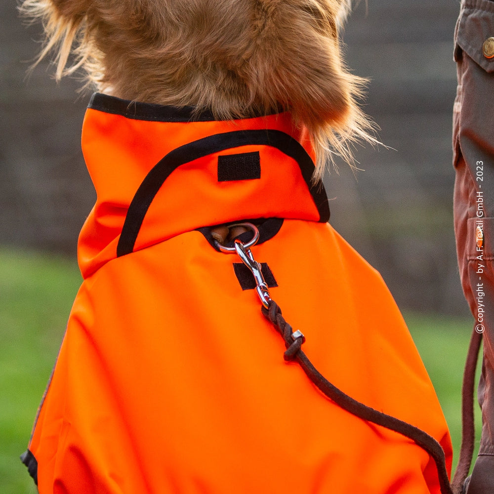 Hund im leuchtend orangefarbenen Regenmantel mit hohem Kragen und Befestigungsring für Leine, unscharfer Hintergrund.