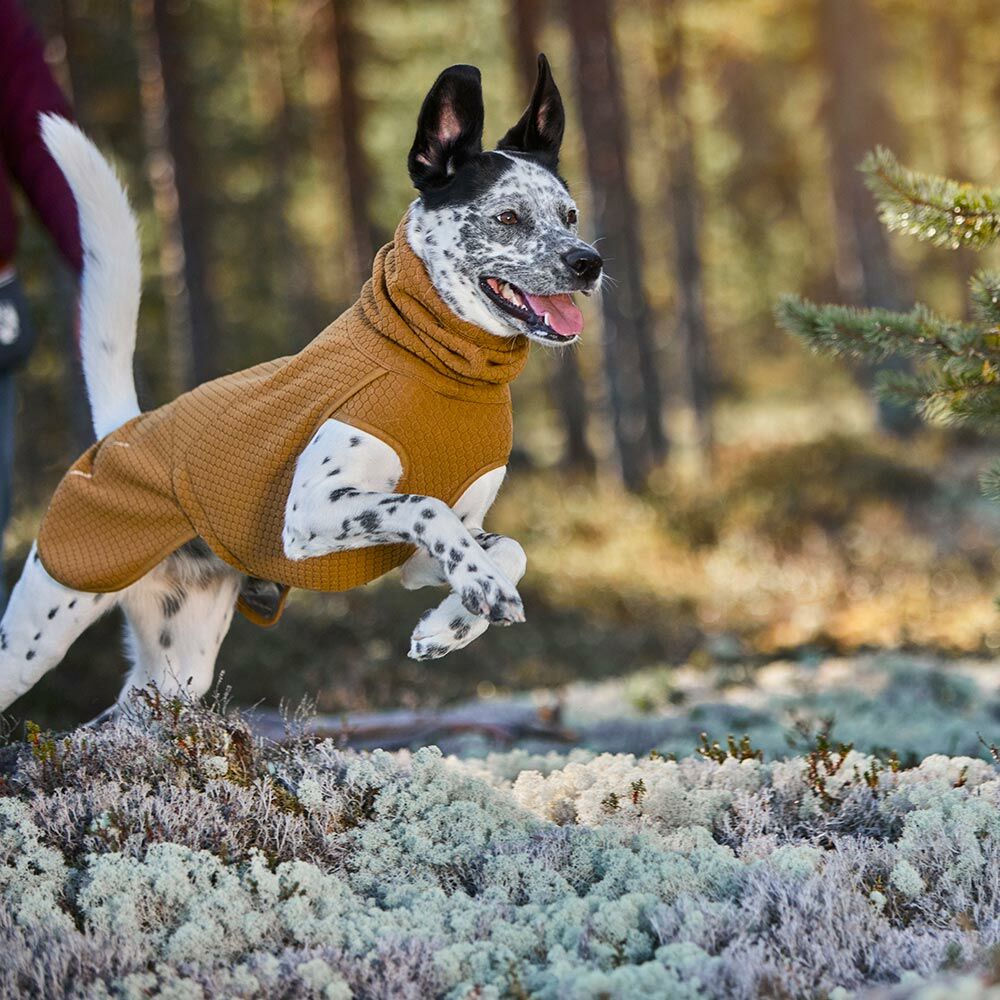 Wärmende Hundejacke Warming Midlayer ECO – zusätzliche Produktansicht 7